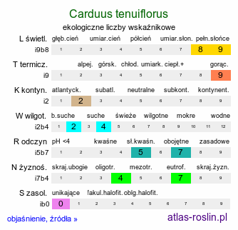 ekologiczne liczby wskaźnikowe Carduus tenuiflorus (oset wąskokwiatowy)