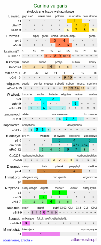 ekologiczne liczby wskaźnikowe Carlina vulgaris s.str. (dziewięćsił pospolity)