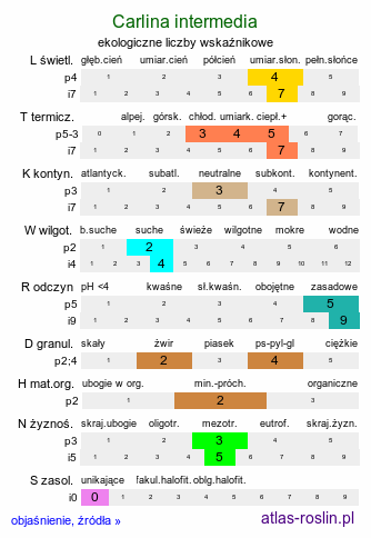 ekologiczne liczby wskaźnikowe Carlina intermedia (dziewięćsił pośredni)