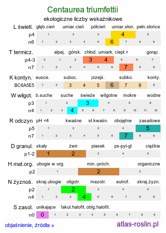 ekologiczne liczby wskaźnikowe Centaurea triumfettii (chaber barwny)