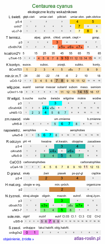 ekologiczne liczby wskaźnikowe Centaurea cyanus (chaber bławatek)