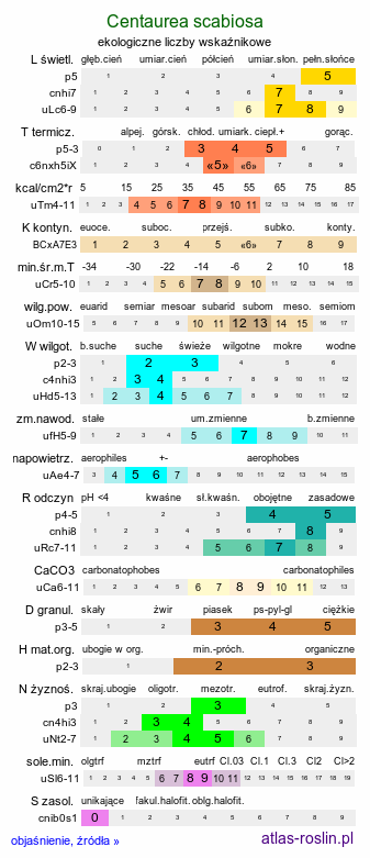 ekologiczne liczby wskaźnikowe Centaurea scabiosa (chaber driakiewnik)
