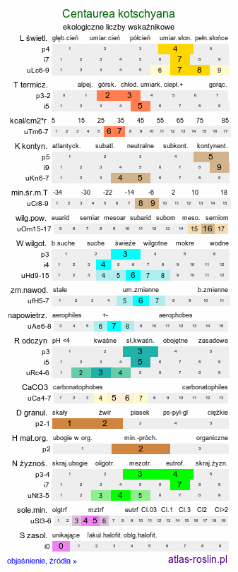 ekologiczne liczby wskaźnikowe Centaurea kotschyana (chaber Kotschyego)