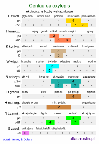 ekologiczne liczby wskaźnikowe Centaurea oxylepis (chaber ostrołuskowy)