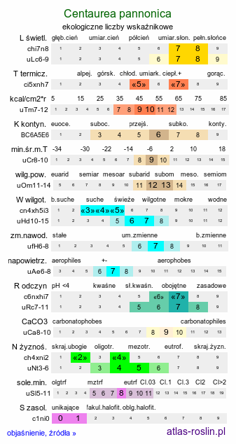 ekologiczne liczby wskaźnikowe Centaurea pannonica (chaber pannoński)