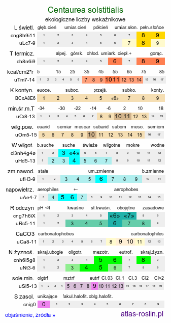 ekologiczne liczby wskaźnikowe Centaurea solstitialis (chaber wełnisty)