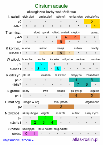 ekologiczne liczby wskaźnikowe Cirsium acaule (ostrożeń krótkołodygowy)