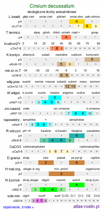 ekologiczne liczby wskaźnikowe Cirsium decussatum (ostrożeń siedmiogrodzki)
