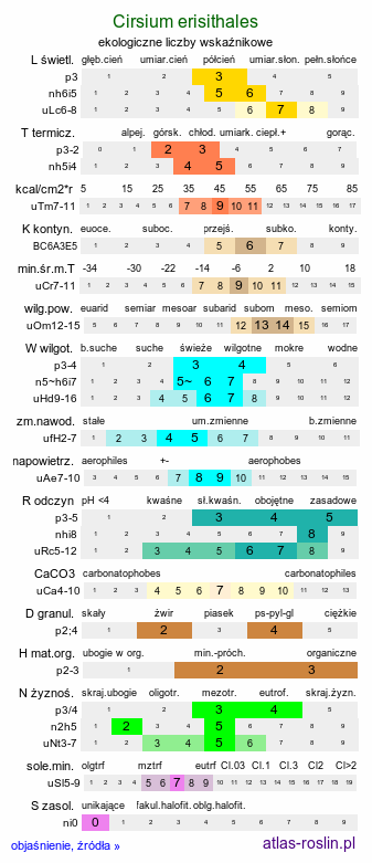 ekologiczne liczby wskaźnikowe Cirsium erisithales (ostrożeń lepki)