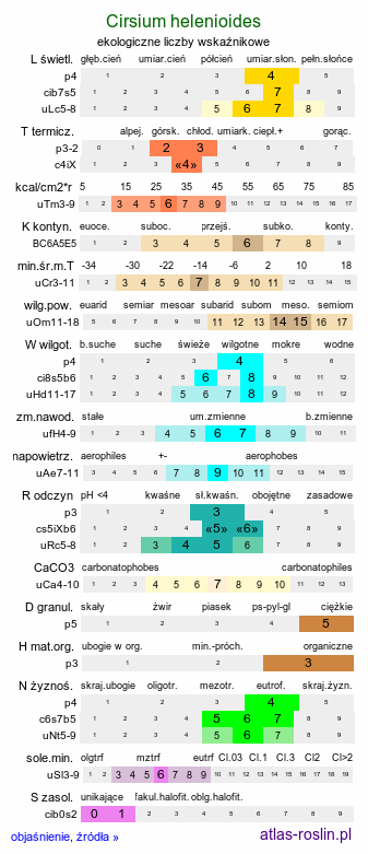 ekologiczne liczby wskaźnikowe Cirsium helenioides (ostrożeń dwubarwny)