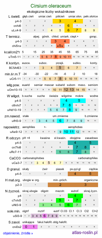 ekologiczne liczby wskaźnikowe Cirsium oleraceum (ostrożeń warzywny)