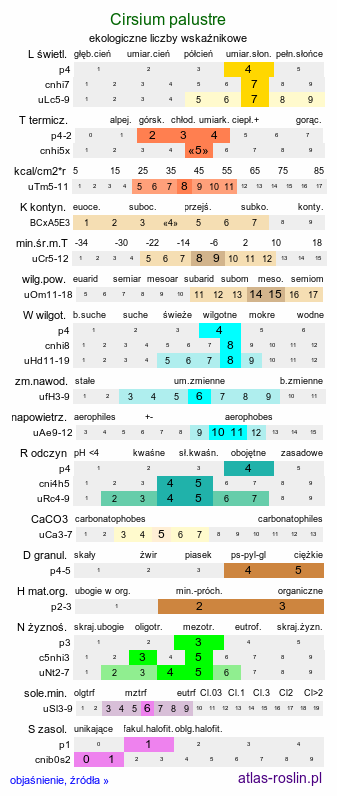 ekologiczne liczby wskaźnikowe Cirsium palustre (ostrożeń błotny)