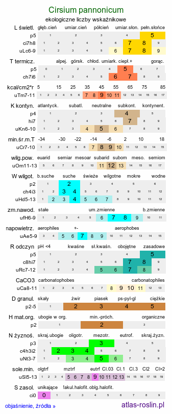 ekologiczne liczby wskaźnikowe Cirsium pannonicum (ostrożeń pannoński)