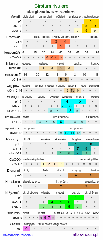 ekologiczne liczby wskaźnikowe Cirsium rivulare (ostrożeń łąkowy)