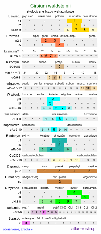 ekologiczne liczby wskaźnikowe Cirsium waldsteinii (ostrożeń wschodniokarpacki)
