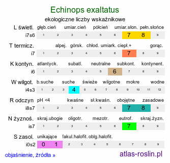 ekologiczne liczby wskaźnikowe Echinops exaltatus (przegorzan węgierski)