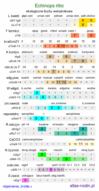 ekologiczne liczby wskaźnikowe Echinops ritro (przegorzan pospolity)