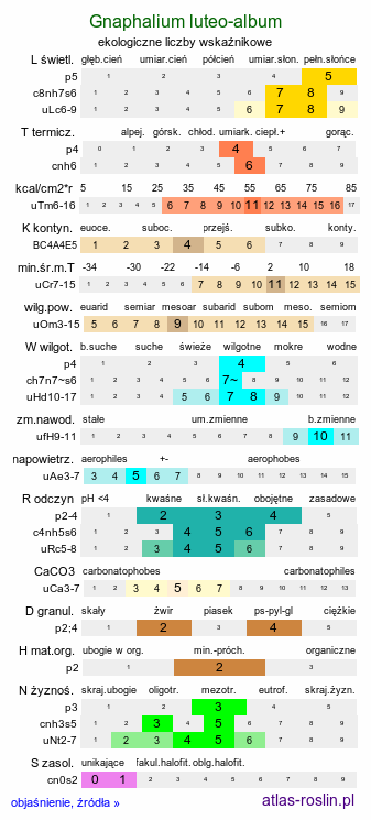 ekologiczne liczby wskaźnikowe Gnaphalium luteo-album (szarota żółtobiała)