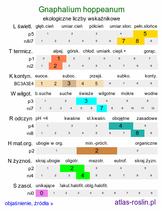 ekologiczne liczby wskaźnikowe Gnaphalium hoppeanum (szarota Hoppego)