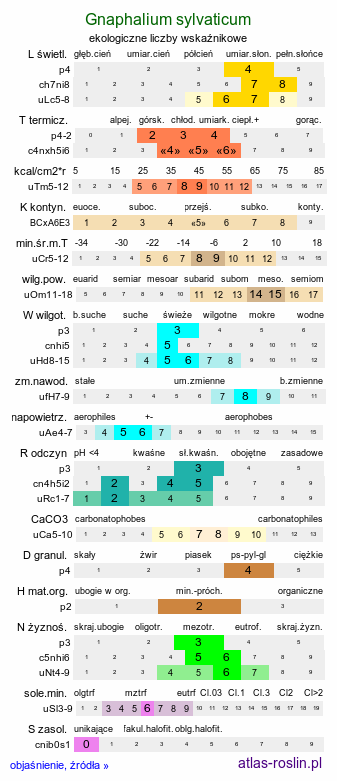 ekologiczne liczby wskaźnikowe Gnaphalium sylvaticum (szarota leśna)