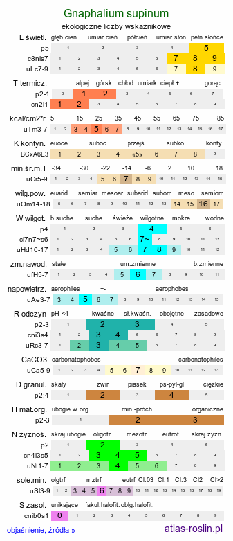 ekologiczne liczby wskaźnikowe Gnaphalium supinum (szarota drobna)