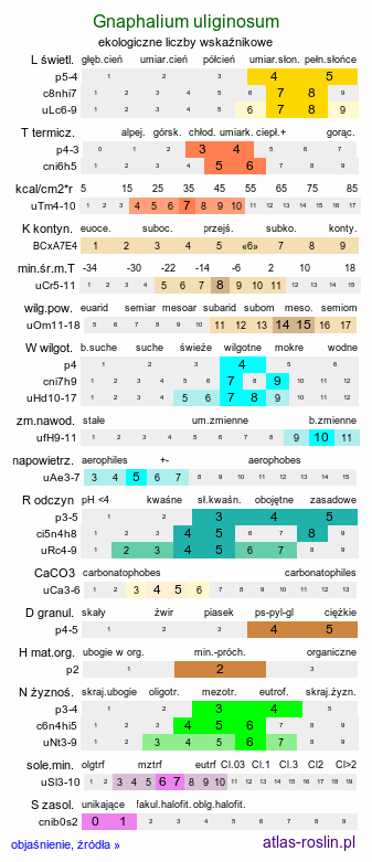 ekologiczne liczby wskaźnikowe Gnaphalium uliginosum (szarota błotna)