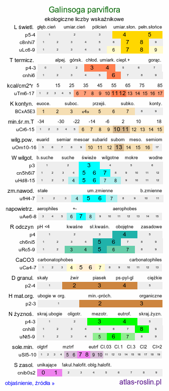 ekologiczne liczby wskaźnikowe Galinsoga parviflora (żółtlica drobnokwiatowa)