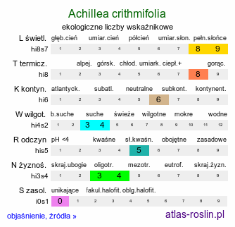 ekologiczne liczby wskaźnikowe Achillea crithmifolia (krwawnik kowniatkolistny)