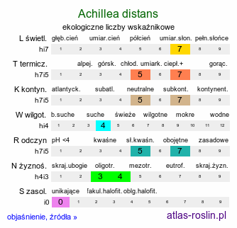 ekologiczne liczby wskaźnikowe Achillea distans (krwawnik odległołatkowy)