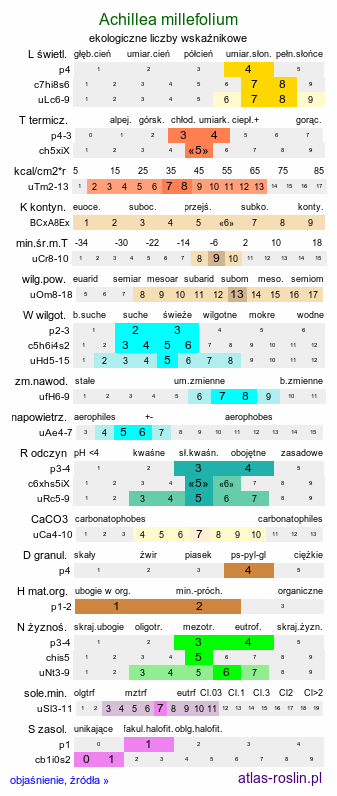 ekologiczne liczby wskaźnikowe Achillea millefolium s.str. (krwawnik pospolity (s.str.))