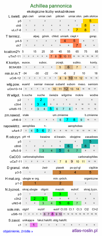 ekologiczne liczby wskaźnikowe Achillea pannonica (krwawnik pannoński)