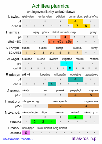 ekologiczne liczby wskaźnikowe Achillea ptarmica (krwawnik kichawiec)