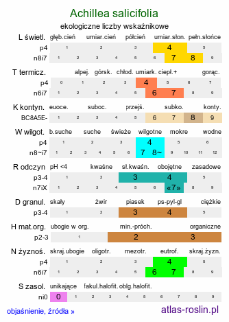 ekologiczne liczby wskaźnikowe Achillea salicifolia (krwawnik wierzbolistny)