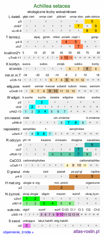 ekologiczne liczby wskaźnikowe Achillea setacea (krwawnik szczecinkolistny)