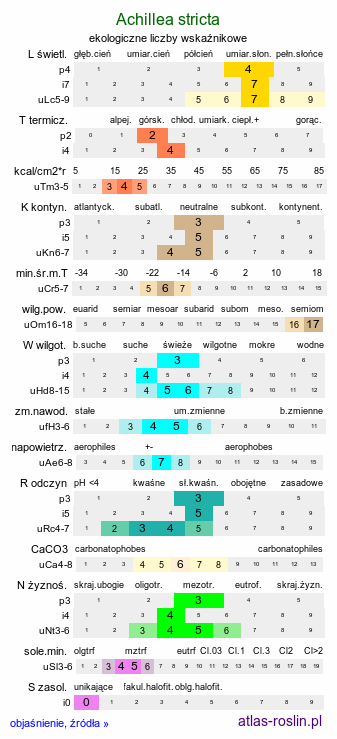 ekologiczne liczby wskaźnikowe Achillea stricta (krwawnik wyprostowany)