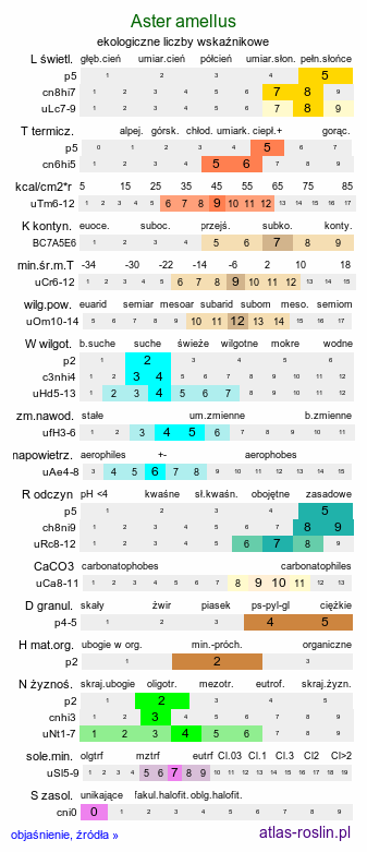 ekologiczne liczby wskaźnikowe Aster amellus (aster gawędka)