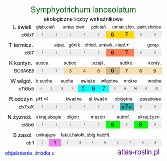 ekologiczne liczby wskaźnikowe Symphyotrichum lanceolatum (aster lancetowaty)