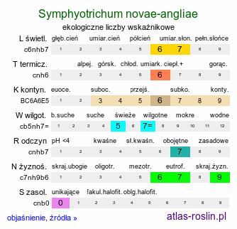 ekologiczne liczby wskaźnikowe Symphyotrichum novae-angliae (aster nowoangielski)