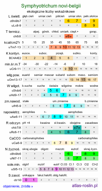 ekologiczne liczby wskaźnikowe Symphyotrichum novi-belgii (aster nowobelgijski)