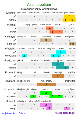 ekologiczne liczby wskaźnikowe Aster tripolium (aster solny)