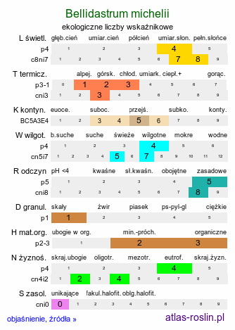 ekologiczne liczby wskaźnikowe Bellidiastrum michelii orth.var. (stokrotnica górska)