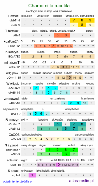 ekologiczne liczby wskaźnikowe Chamomilla recutita (rumianek pospolity)