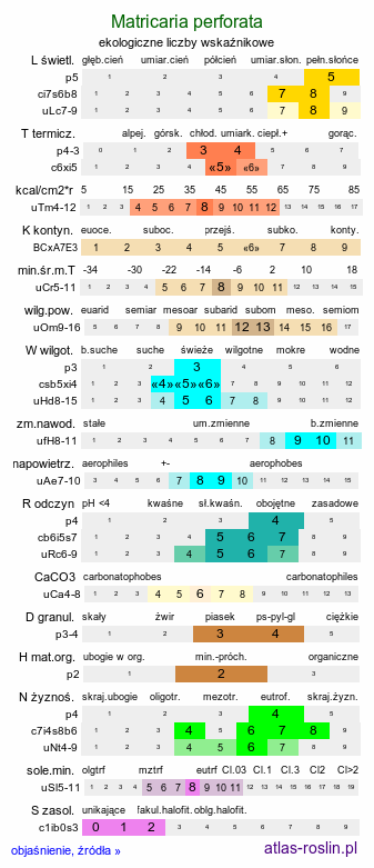 ekologiczne liczby wskaźnikowe Matricaria perforata (maruna bezwonna)