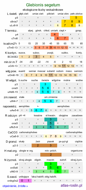 ekologiczne liczby wskaźnikowe Glebionis segetum (złocień polny)