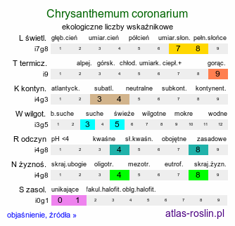 ekologiczne liczby wskaźnikowe Chrysanthemum coronarium (złocień wieńcowy)