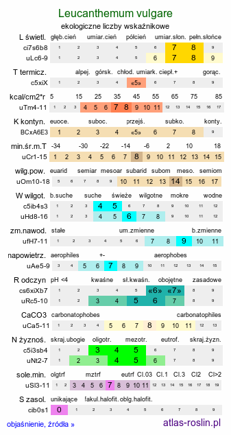 ekologiczne liczby wskaźnikowe Leucanthemum vulgare (jastrun właściwy)