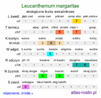 ekologiczne liczby wskaźnikowe Leucanthemum margaritae (jastrun górski)