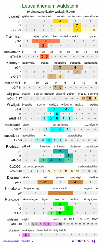 ekologiczne liczby wskaźnikowe Leucanthemum waldsteinii (jastrun okrągłolistny)