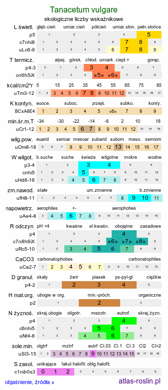 ekologiczne liczby wskaźnikowe Tanacetum vulgare (wrotycz pospolity)