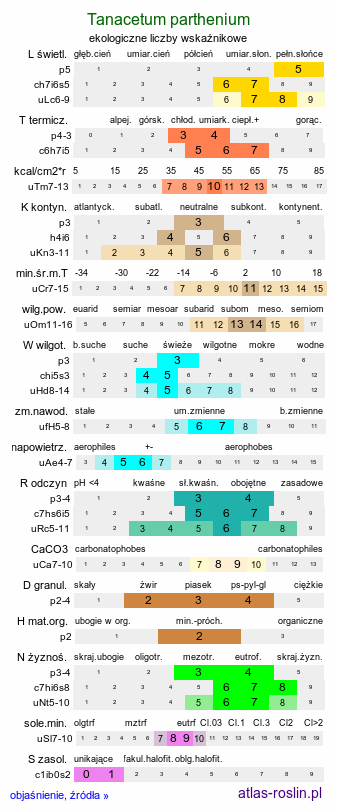 ekologiczne liczby wskaźnikowe Tanacetum parthenium (wrotycz maruna)